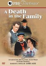 Watch A Death in the Family Freemovieswatch