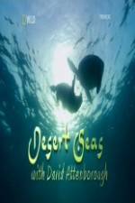 Watch National Geographic Desert Seas Freemovieswatch