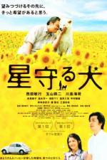 Watch Star Watching Dog Freemovieswatch