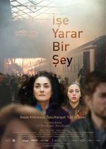 Watch Something Useful Freemovieswatch