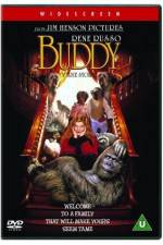 Watch Buddy Freemovieswatch