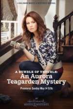 Watch A Bundle of Trouble: An Aurora Teagarden Mystery Freemovieswatch