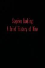 Watch Stephen Hawking A Brief History of Mine Freemovieswatch
