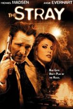 Watch The Stray Freemovieswatch