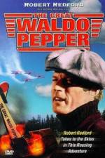 Watch The Great Waldo Pepper Freemovieswatch