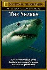 Watch National Geographic The Sharks Freemovieswatch