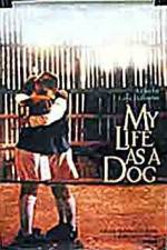 Watch My Life As A Dog Freemovieswatch