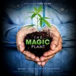 Watch The Magic Plant Freemovieswatch