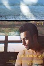 Watch Fireflies Freemovieswatch