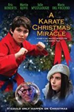 Watch A Karate Christmas Miracle Freemovieswatch