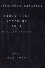 Watch Industrial Symphony No 1 The Dream of the Brokenhearted Freemovieswatch