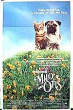 Watch Milo and Otis Freemovieswatch