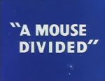 Watch A Mouse Divided (Short 1953) Freemovieswatch