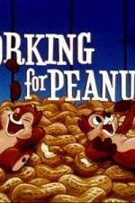 Watch Working For Peanuts Freemovieswatch