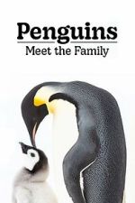 Watch Penguins: Meet the Family Freemovieswatch