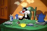 Watch The Last Hungry Cat Freemovieswatch