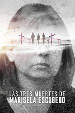 Watch The Three Deaths of Marisela Escobedo Freemovieswatch