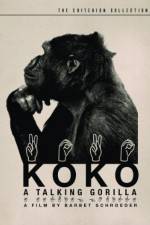 Watch Koko, le gorille qui parle Freemovieswatch