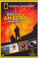 Watch National Geographics Most Amazing Moments Freemovieswatch