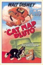 Watch Cat Nap Pluto Freemovieswatch