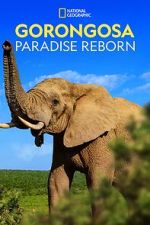 Watch Gorongosa: Paradise Reborn (Short 2022) Freemovieswatch