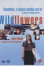 Watch Wildflowers Freemovieswatch