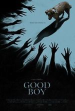 Watch Good Boy Freemovieswatch