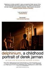 Watch Delphinium: A Childhood Portrait of Derek Jarman Freemovieswatch