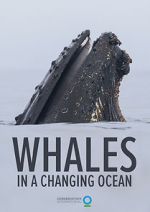 Watch Whales in a Changing Ocean (Short 2021) Freemovieswatch