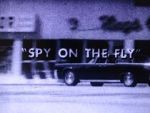 Watch Spy on the Fly (Short 1967) Freemovieswatch