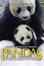 Watch Pandas: The Journey Home Freemovieswatch