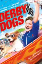 Watch Derby Dogs Freemovieswatch