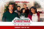 Watch A Chestnut Family Christmas Freemovieswatch