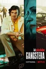 Watch How I Fell in Love with a Gangster Freemovieswatch