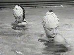 Watch Sirnes modernes (Short 1961) Freemovieswatch