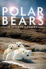 Watch Polar Bears: A Summer Odyssey Freemovieswatch