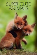 Watch Super Cute Animals Freemovieswatch