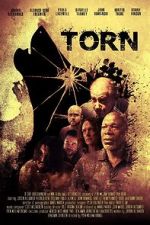 Watch Torn Freemovieswatch