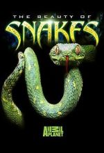 Watch Beauty of Snakes Freemovieswatch