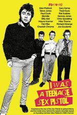 Watch I Was a Teenage Sex Pistol Freemovieswatch