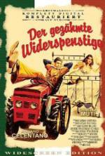 Watch The Taming of the Scoundrel Freemovieswatch
