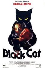 Watch The Black Cat Freemovieswatch