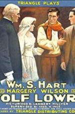 Watch Wolf Lowry Freemovieswatch
