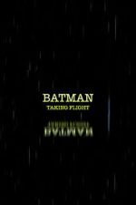 Watch Batman: Taking Flight Freemovieswatch
