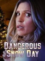 Watch Dangerous Snow Day Freemovieswatch