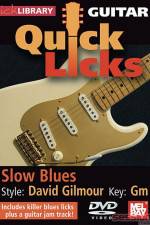 Watch Lick Library Quick Licks David Gilmour Freemovieswatch
