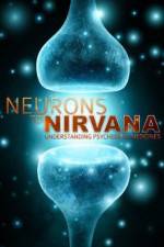 Watch Neurons to Nirvana Freemovieswatch