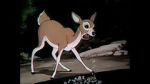 Watch Wacky Wildlife (Short 1940) Freemovieswatch