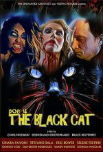 Watch POE 4: The Black Cat Freemovieswatch
