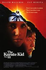 Watch The Karate Kid Part III Freemovieswatch